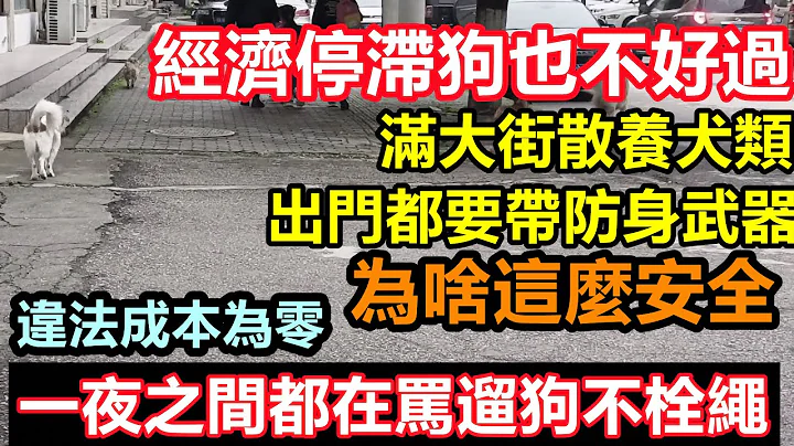一夜之间全网都在讨伐遛狗不栓绳，水稻上山后又来一个“文明养犬”，经济不好连狗粮都买不起只能放在马路上散养，全网严查不栓狗绳#破产经济#大量外资跑路##经济#实体经济#经济萧条#焦虑躺平 - 天天要闻