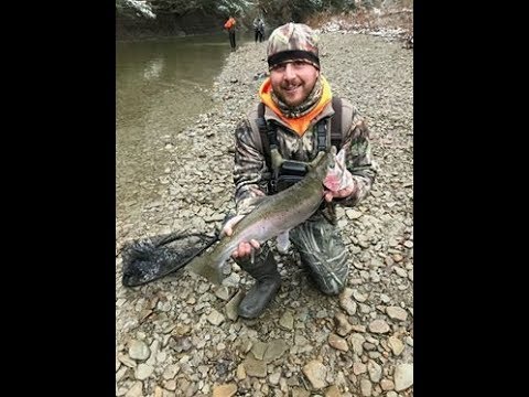 video phone beyonce mp3 Steelhead Dec 30th 2018