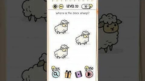 Brain Test Level 20 Answer - Where is the Black Sheep