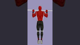 3 perfect pullup tip for begineers