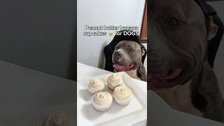 Peanut butter banana cupcakes for dogs 😍 #dogrecipes #dogcupcakes #dogtreats #dogfood