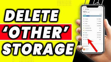 How To Clear Other Storage On Android (CORRECTLY 2022)