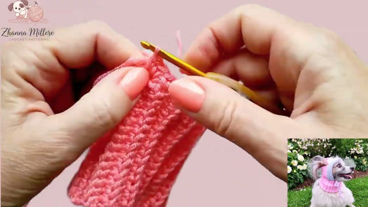 How to Crochet a Pet Hat with Ear Openings | Easy PDF Pattern for Cats & Dogs (US & EU Terms)