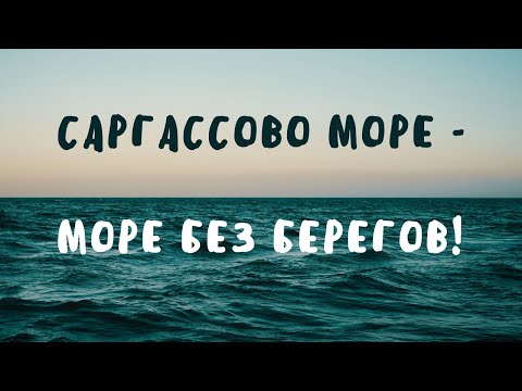 Саргассово море - море без берегов! | Удивительное рядом