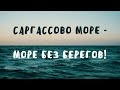 Саргассово море - море без берегов! | Удивительное рядом