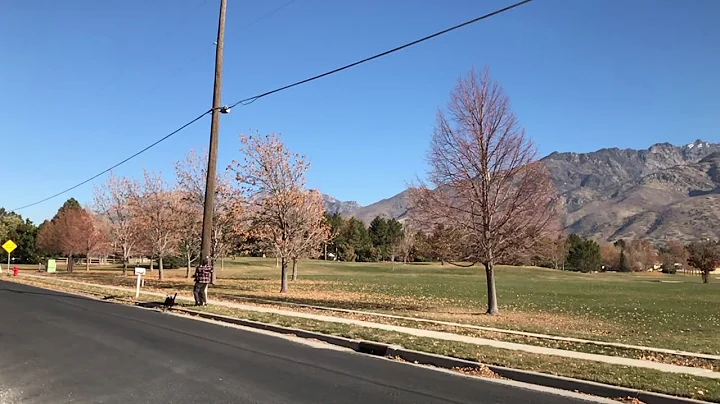 Out for a run.