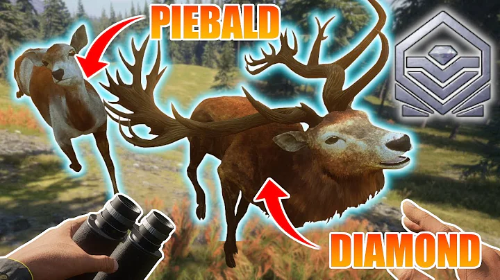 Diamond AND Piebald on FIRST Red Deer Hunt! | theH...