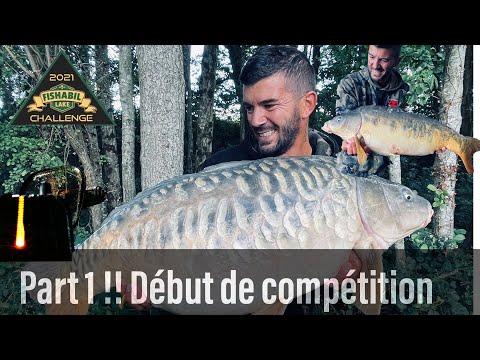 Vidéo: Pêche à La Carpe