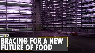 Europe's largest vertical farm opens in Denmark | Europe News | World News screenshot 2