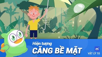 Vì sao giọt sương trên lá có dạng hình cầu hay dẹt ? | Vật lý 10 - Bài 37 Hiện tượng căng bề mặt