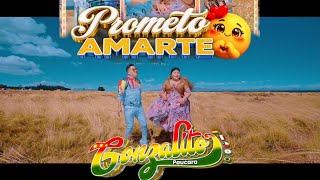 Gonzalito Paucara - Prometo Amarte ESTRENO PRIMICIA 2026 SALAY