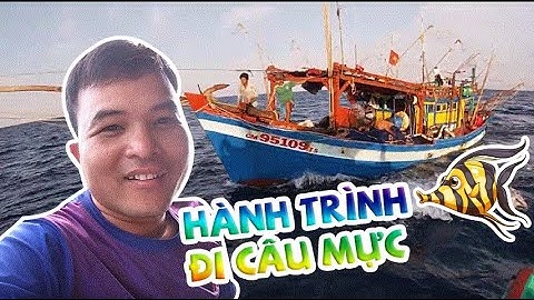 Hành Trình Giang Tàu Tải Ra Ghe Đi Biển |Câu Mực Biển Tây