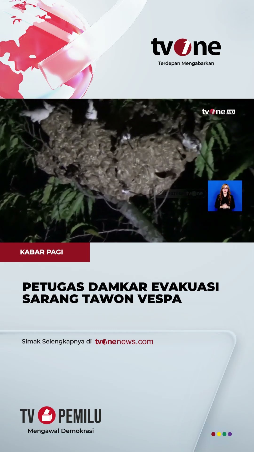 Gede Banget, Petugas Damkar Evakuasi Sarang Tawon Vespa di Atas Pohon yang Bikin Resah | tvOne