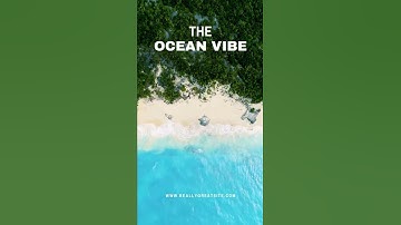the ocean vibe  see said 🌍nature of very nice               @skmixcartoon  #new short video