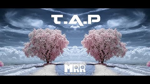 T.A.P - "The Progbient"