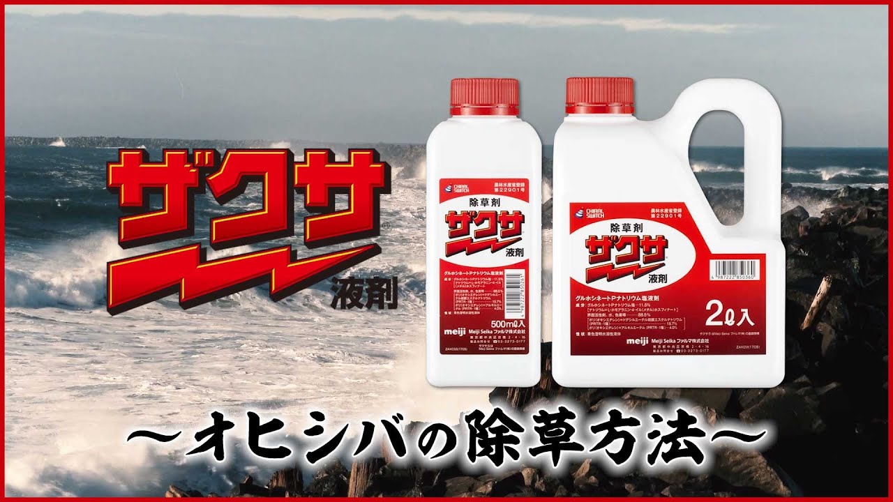 ザクサ侍 弐番勝負 オヒシバ編 Youtube ザクサ侍 弐番勝負 オヒシバ編 Youtube