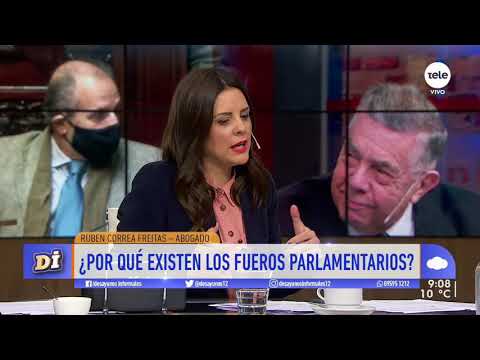 Ruben Correa Freitas: "Los fueros están para proteger la independencia del Parlamento"