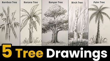 5 Tree Drawing Step By Step with Graphite Pencil Shading