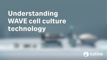 Understanding the Wave Bioreactor™: Cell culture technology
