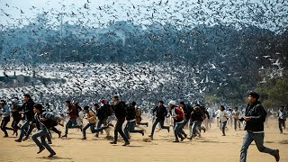 Moments Incroyables Filmés Par Caméra