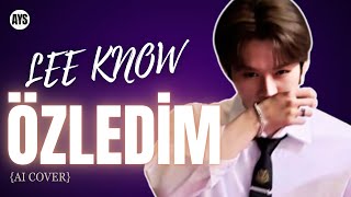 Lee Know - Özledim (AI Cover) Resimi