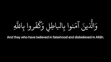 [قل كفى بالله بيني وبينكم شهيداً] كروما قران شاشه سوداء | القارئ عبدالرحمن مسعد