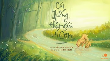 MINH NIỆM | Radio DÌU CON VÀO ĐỜI | Số thứ 3 | Cúi Xuống Thật Gần Với Con