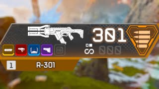 R301 but fire rate is 301 with 301 bullets