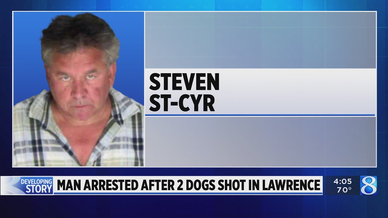 Man arrested after 2 dogs shot in Lawrence - YouTube