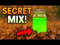 ⭐ Pour THIS On Dry Leaves and Watch Them Turn Into Compost FAST!