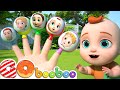 La Canción de la Familia Dedo Feliz  8 Minutos Canciones Infantiles | GoBooBoo en Espanõl