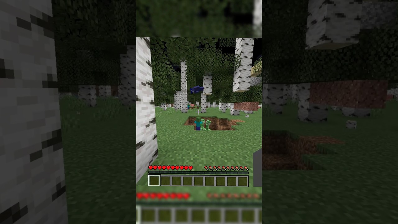 MINECRAFT but the gravity switches every chunk?? 