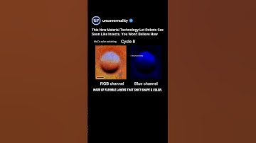 This New Material Technology Let Robots See Like Insects. You Won