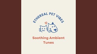 Harmonic Ethereal Pet Harmony