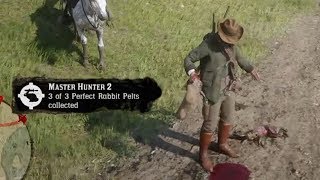 How To Get Perfect Rabbit Pelts - Red Dead Redemption 2