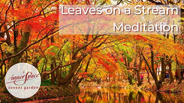 Leaves on a Stream Meditation