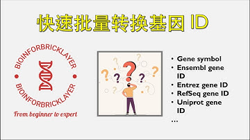 【生信进阶之路｜技能篇 02】如何快速批量转换不同的基因ID?