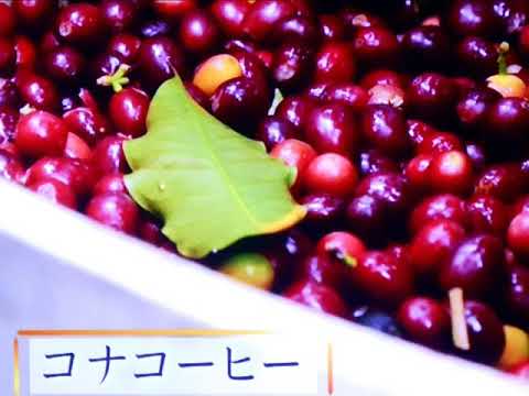 Little Brown Gal・・・Alfred Apaka