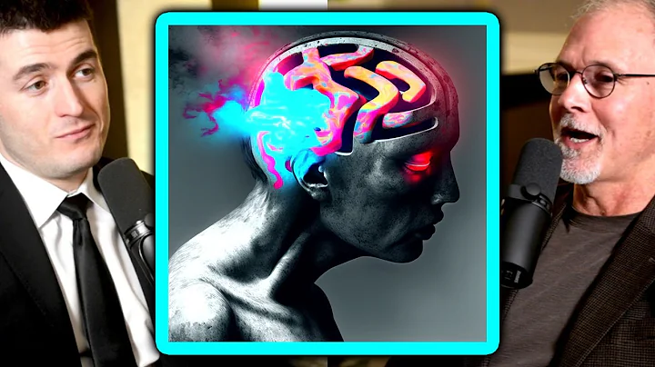 Boston Dynamics CEO: Can robots gain consciousness? | Robert Playter and Lex Fridman