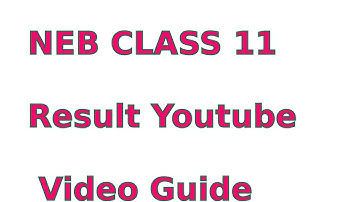 neb class 11 result 2074 result