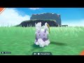 Goomy gets cleaned