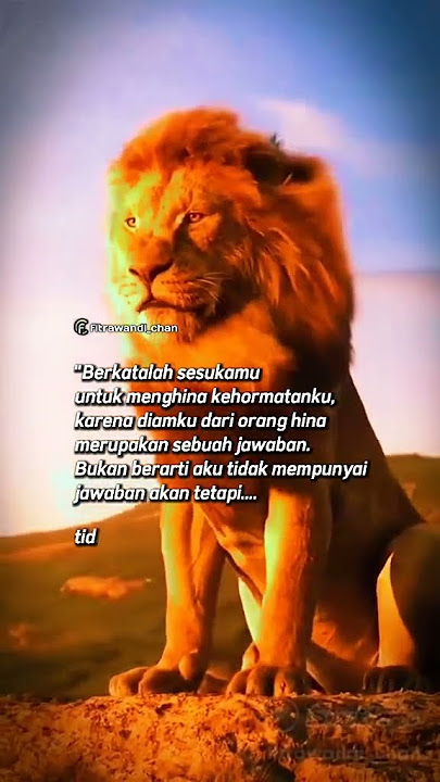 Tidak pantas bagi Singa meladeni anjing