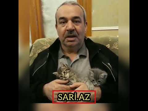 Agamirze heyvanlari mudafie etdi - SARİ AZ