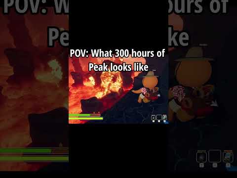 What 300 Hours of Peak Looks Like... #peakgame #funny #viral #memes #haha #chrismclean