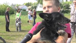Дворянский титул Дворянский титул