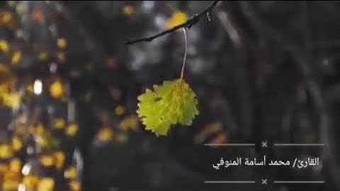 ارح سمعك ♥ قراءة هادئة تريح القلب والعقل 🌷🌹للقارئ الجميل / محمد اسامه المنوفي حفظه الله