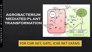 Agrobacterium Mediated Gene Transfer II CSIR NET LIFESCIENCE II GATE II ICAR NET II DBT II