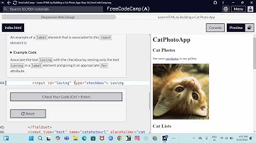 Responsive Web Design  Learn HTML by building a cat photo app step 56