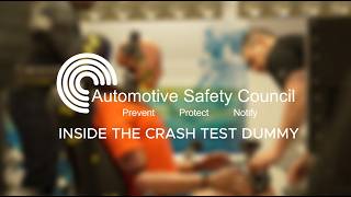 How Crash Test Dummies Measure Injury Risk