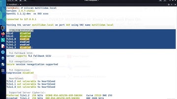 SSLScan: Part 2 - How to Interpret the Results